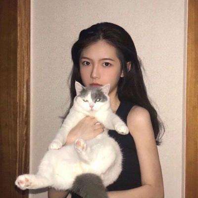屠龙决战沙城破解版下载